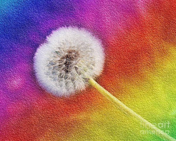 Abstract Art Print featuring the photograph Just Dandy Rainbow 2 by Andee Design
