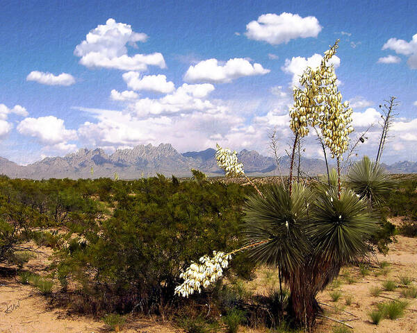 Organ Mountains Art Print featuring the photograph Lampadres de Dios by Kurt Van Wagner