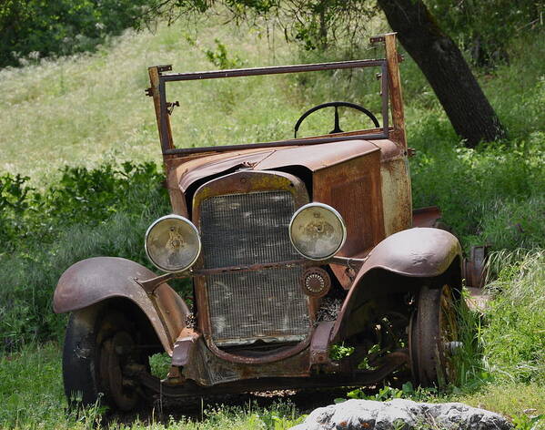 Old Car Art Print featuring the photograph Left to Die by Debby Pueschel