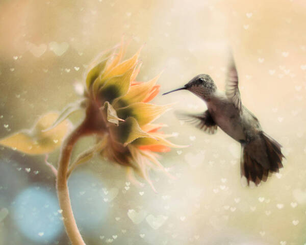 Hummingbird Art Print featuring the photograph Like a Moth To a Flame by Amy Tyler