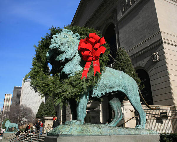 Lions Art Print featuring the photograph Lions at Christmas by Timothy Johnson