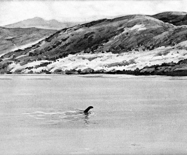 Nobody Art Print featuring the photograph Loch Ness Monster by Cci Archives