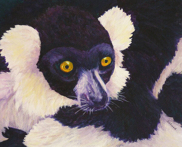 Black And White Ruffed Lemur Art Print featuring the painting Madagascan Magic by Margaret Saheed