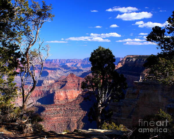 Majestic Canyon Art Print featuring the photograph Majestic Canyon by Patrick Witz