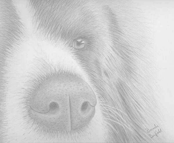 Nature Art Print featuring the drawing Man's Best Friend by Brenda Bonfield
