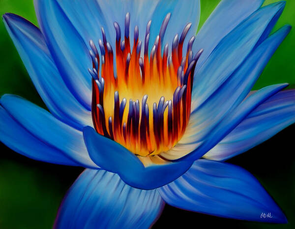 Water Lily Art Print featuring the painting Marvel by Laura Bell