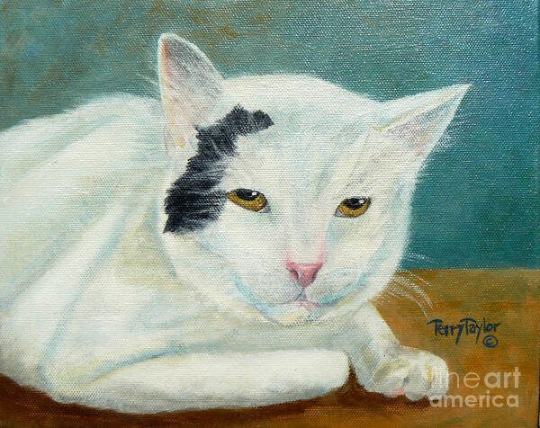 Cat Art Print featuring the painting Mr. Serious by Terry Taylor