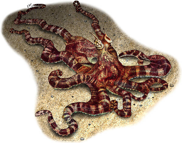 Illustration Art Print featuring the photograph Mimic Octopus by Roger Hall