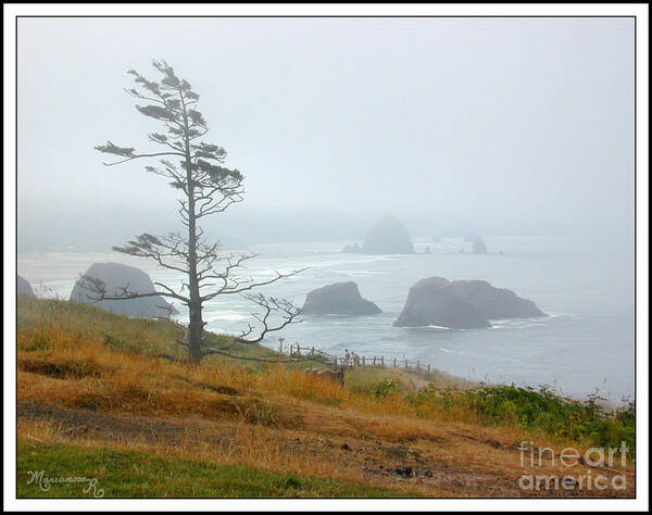 Ecola Park Art Print featuring the photograph Misty Day by Mariarosa Rockefeller