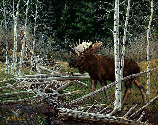 Moose Art Print featuring the painting Mountain Monarch by Craig Burgwardt