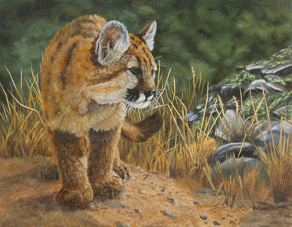 North American Wildlife Art Print featuring the painting New Adventures - Cougar Cub by Johanna Lerwick