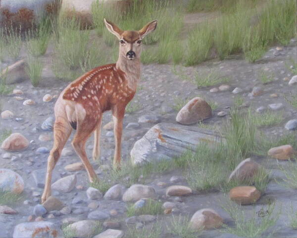Mule Deer Fawn Art Print featuring the painting New Beginnings 2 by Tammy Taylor