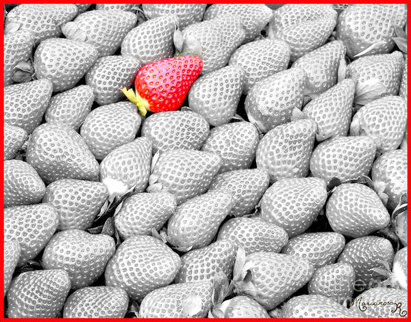Strawberries Art Print featuring the photograph One of a Kind by Mariarosa Rockefeller