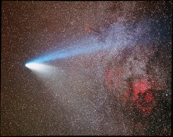 Comet Hale-bopp Art Print featuring the photograph Optical Image Of Comet Hale-bopp by Tony & Daphne Hallas/science Photo Library