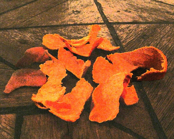 Orange Art Print featuring the photograph Orange Peel by Jessica Levant