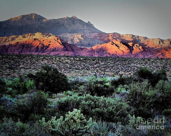 Landscape Art Print featuring the photograph Painted Desert by Robert McCubbin