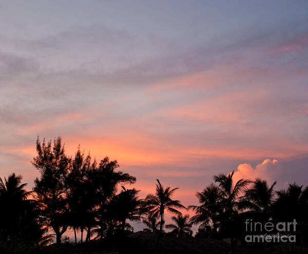 Painted Tropical Sky Art Print featuring the photograph Painted Tropical Sky by Michelle Constantine