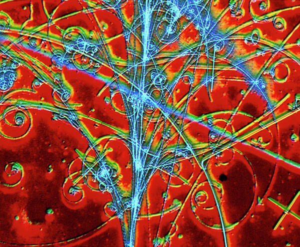 Particle Tracks Art Print featuring the photograph Particle Tracks In Bubble Chamber by Cern, P.loiez/science Photo Library
