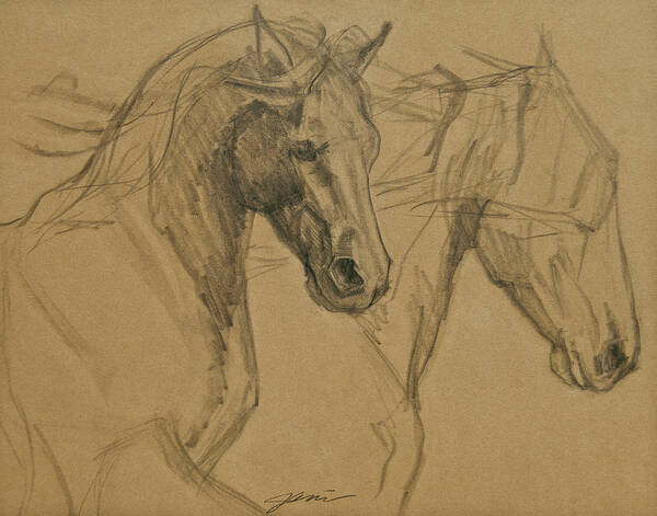 Horse Art Art Print featuring the drawing Peace And Justice Sketch by Jani Freimann