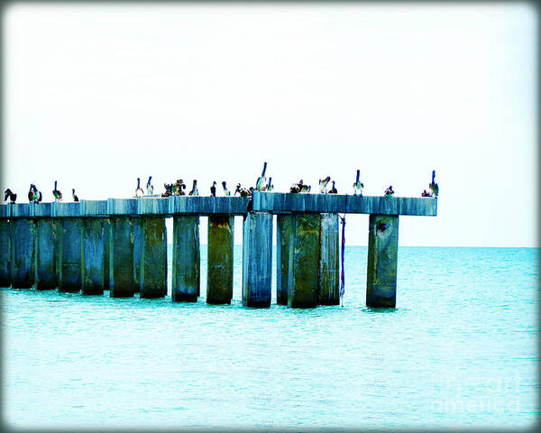 Florida Art Print featuring the photograph Pelican Bridge III by Chris Andruskiewicz