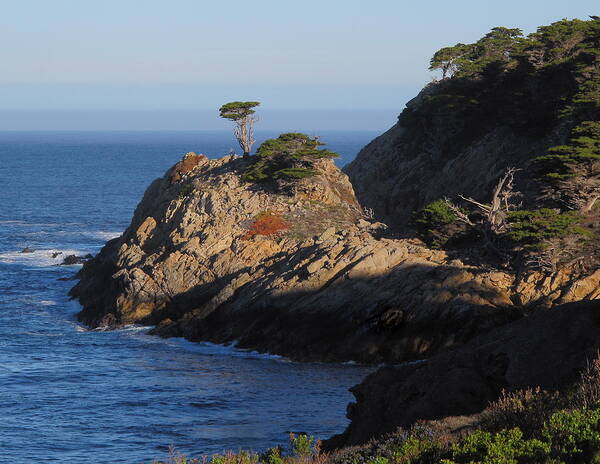 Point Lobos Art Print featuring the photograph Point Lobos in the Morning by Derek Dean