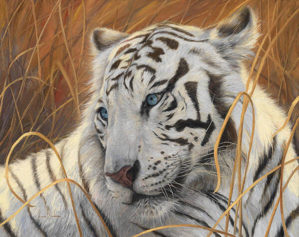 Tiger Art Print featuring the painting Portrait White Tiger 1 by Lucie Bilodeau