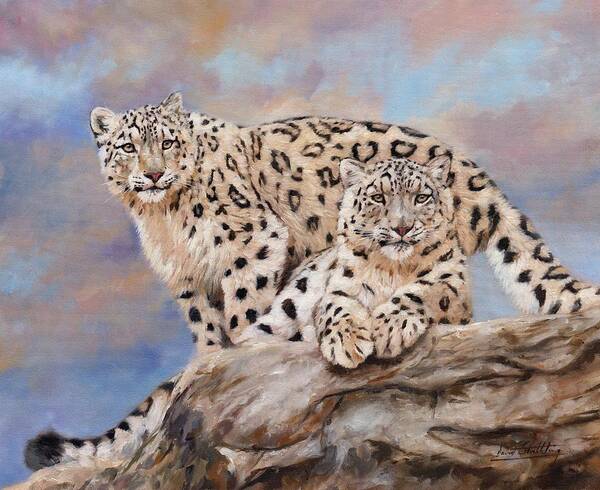 Snow Leopard Art Print featuring the painting Princes Of The Peaks by David Stribbling