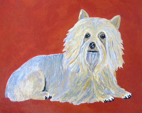Silky Terrier Art Print featuring the painting Prissy by Suzanne Theis