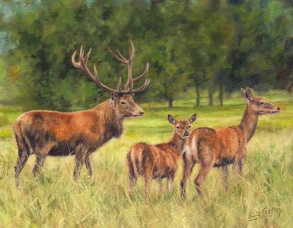 Red Deer Art Print featuring the painting Red Deer Family by David Stribbling