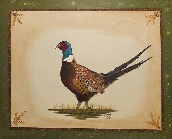 Pheasant Art Print featuring the painting Ringneck Pheasant by Cindy Micklos