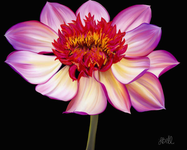 Dahlia Art Print featuring the painting Satin Flames by Laura Bell