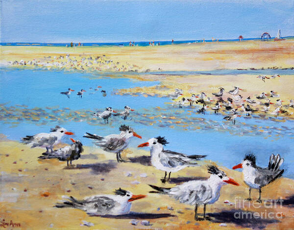Siesta Key Sea Gulls Art Print featuring the painting Sea Gulls Siesta Key Beach by Lou Ann Bagnall