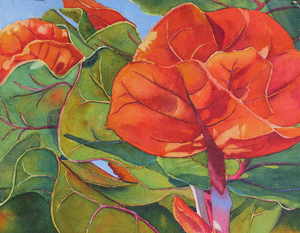 Seagrape Leaves Art Print featuring the painting Seagrape Leaves by Judy Mercer