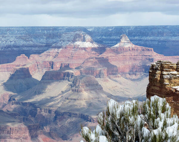Grand Canyon Art Print featuring the photograph Snow at the Grand Canyon by Laurel Powell
