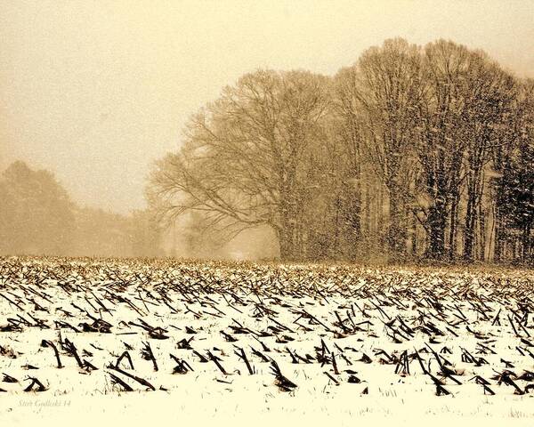 Corn Field Art Print featuring the photograph Snow Day by Steve Godleski