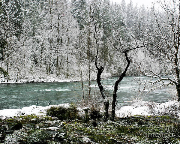 River Art Print featuring the photograph Snowy River and Bank by Belinda Greb