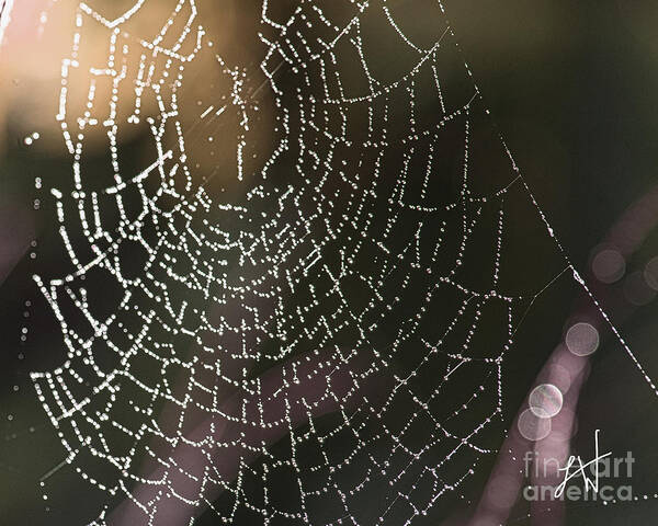 Spider Web Art Print featuring the photograph Spiderweb Green by Artist and Photographer Laura Wrede