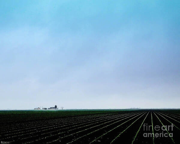 Texas Art Print featuring the photograph Spring Crop Up by Lizi Beard-Ward