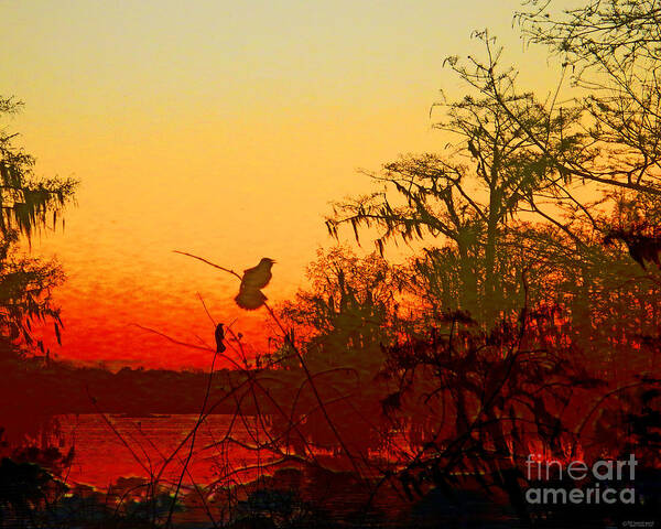 Digital Art Print featuring the digital art Sunset Perch Lake Martin Louisiana by Lizi Beard-Ward