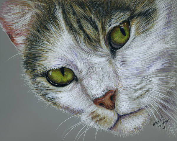 White Art Print featuring the painting Tara Cat Art by Michelle Wrighton