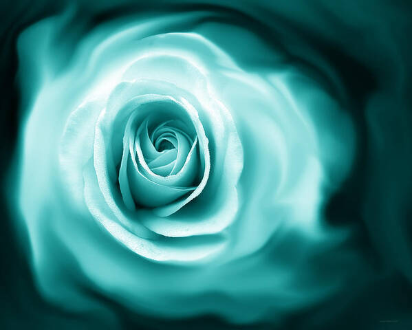 Rose Art Print featuring the photograph Teal Rose Flower Abstract by Jennie Marie Schell