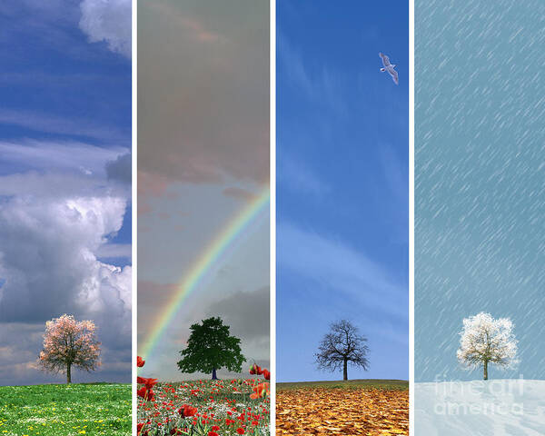 Nag003144 Art Print featuring the photograph The Four Seasons by Edmund Nagele FRPS