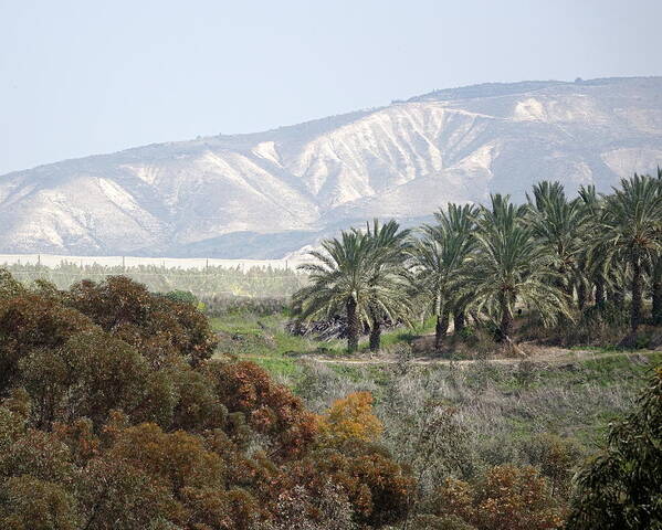 Golan Heights Art Print featuring the photograph The Golan Heights by Rita Adams