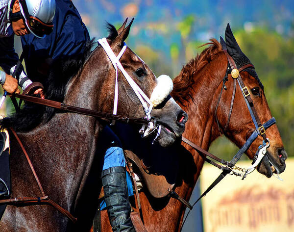 Horse Art Print featuring the photograph The Jockey by Camille Lopez