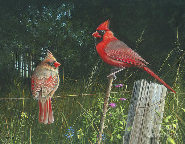 Cardinals Art Print featuring the painting The Perfect Match by Mike Brown