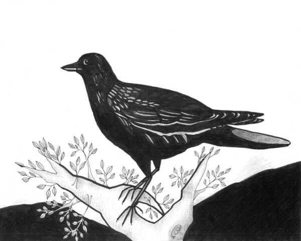 Bird Art Print featuring the drawing The Witness by Helena Tiainen