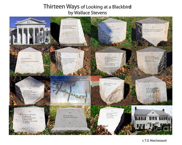 Poster Art Print featuring the photograph Thirteen Ways of Looking at a Blackbird by Thomas Marchessault