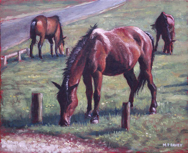 Horse Art Print featuring the painting Three New Forest Horses On Grass by Martin Davey