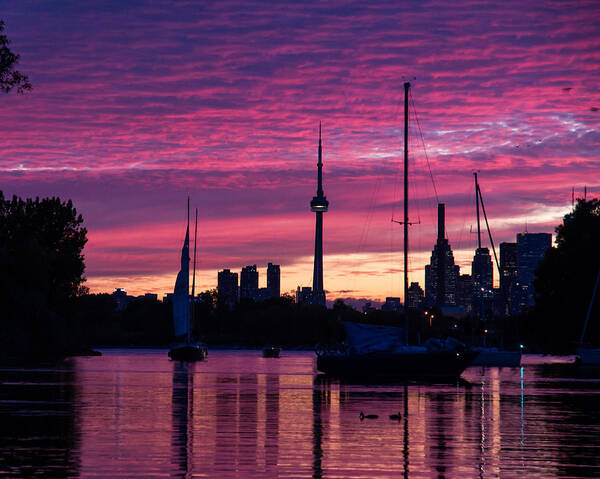 Toronto Art Print featuring the photograph Toronto Skyline - the Boats Are Coming In by Georgia Mizuleva