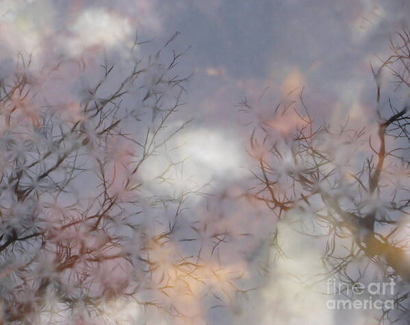 Abstract Nature Art Print featuring the photograph Trees on Ice by Fred Sheridan